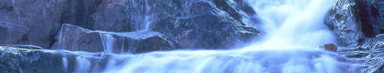 Banner profilu