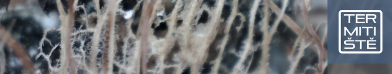 Banner profilu