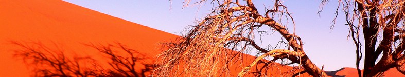 Banner profilu