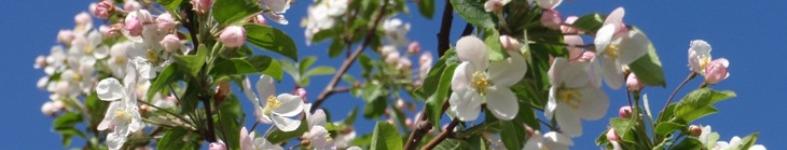 Banner profilu