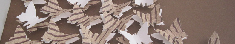 Banner profilu