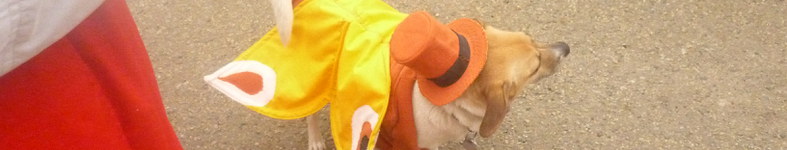 Banner profilu