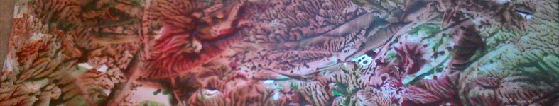 Banner profilu