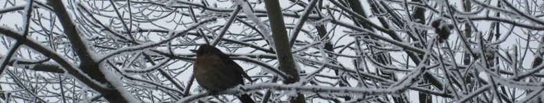 Banner profilu