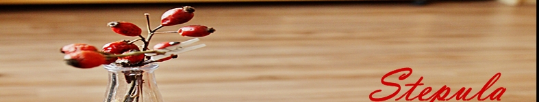 Banner profilu