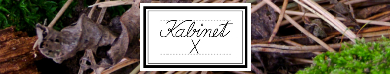 Banner profilu
