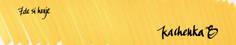 Banner profilu