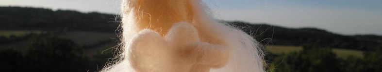 Banner profilu