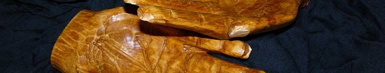 Banner profilu