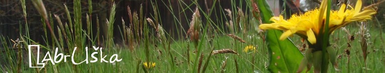 Banner profilu
