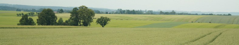 Banner profilu