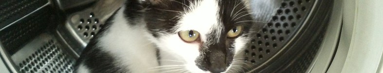Banner profilu