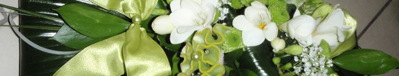 Banner profilu