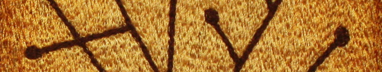 Banner profilu