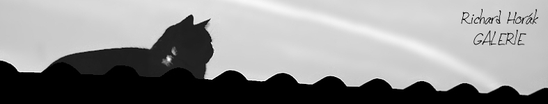 Banner profilu