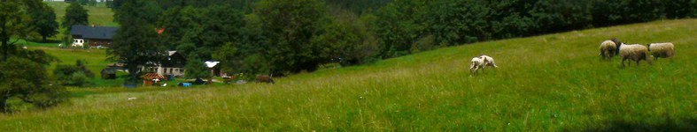 Banner profilu