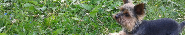 Banner profilu