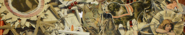 Banner profilu