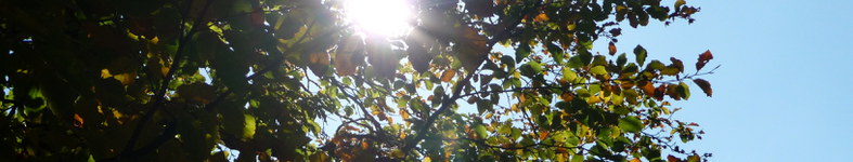 Banner profilu