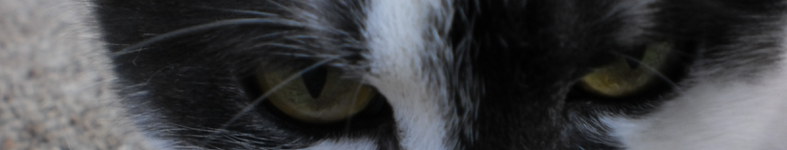 Banner profilu
