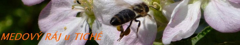 Banner profilu