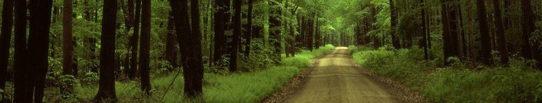 Banner profilu