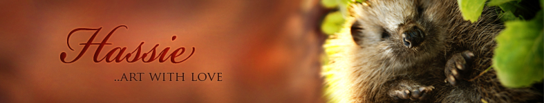 Banner profilu