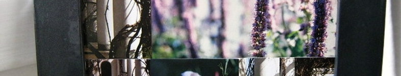 Banner profilu