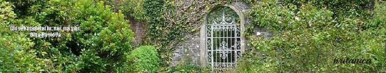 Banner profilu