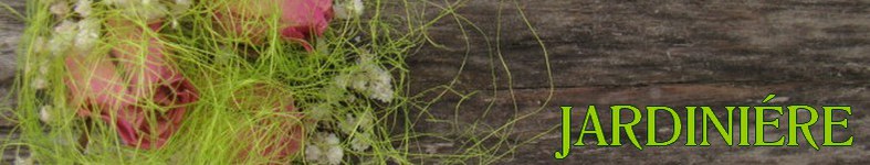 Banner profilu
