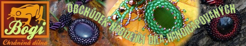 Banner profilu