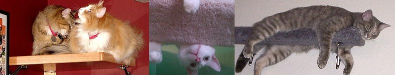 Banner profilu