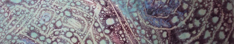 Banner profilu