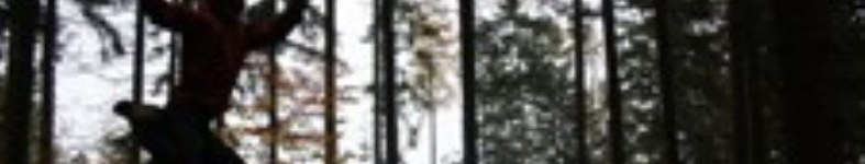 Banner profilu