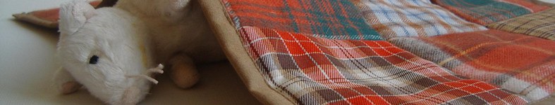 Banner profilu