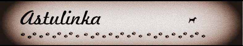 Banner profilu