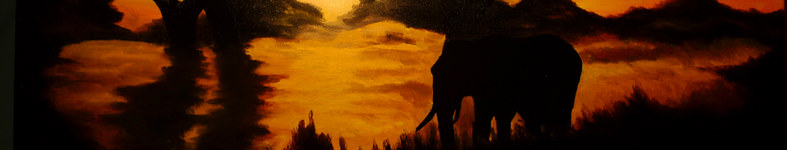 Banner profilu