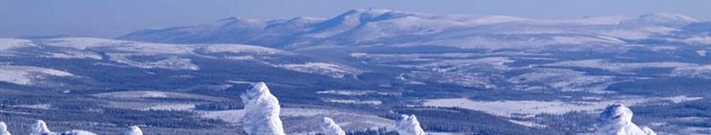 Banner profilu