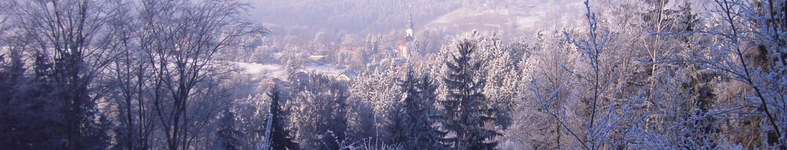 Banner profilu