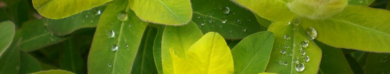 Banner profilu