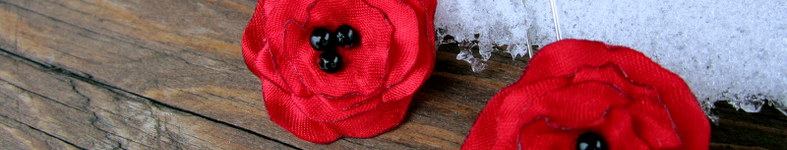 Banner profilu