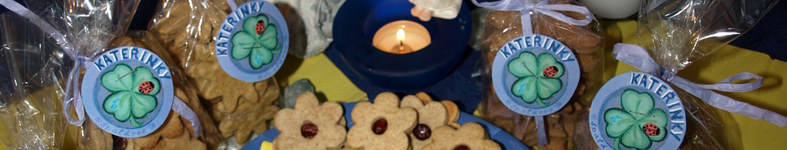 Banner profilu