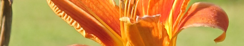 Banner profilu