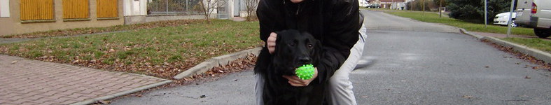 Banner profilu