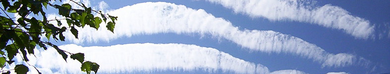 Banner profilu