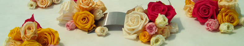 Banner profilu