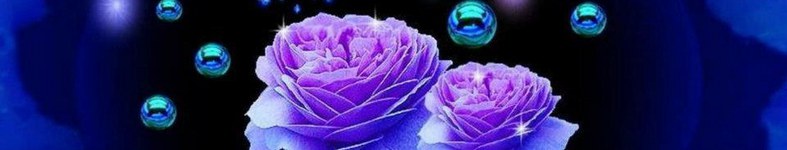 Banner profilu