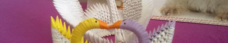 Banner profilu