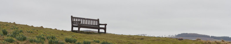 Banner profilu