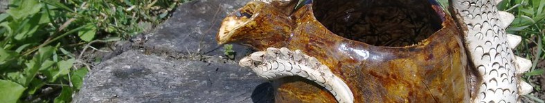 Banner profilu